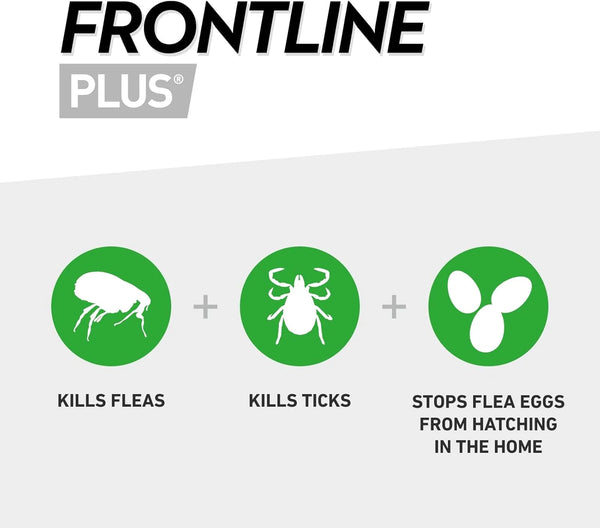 Frontline Plus Flea & Tick Treatment for Cats and Ferrets - 6 Pipettes