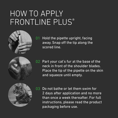 Frontline Plus Flea & Tick Treatment for Cats and Ferrets - 6 Pipettes