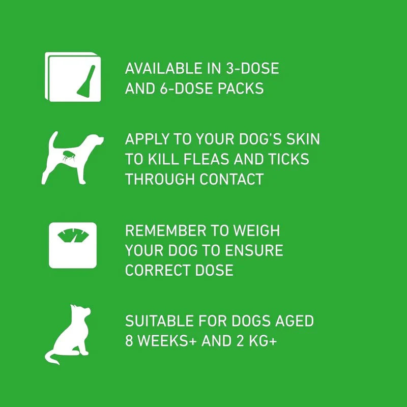 Frontline Plus Flea & Tick Treatment for Large Dogs - 6 Pipettes