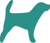 FLEA & TICK PROTECTION FOR DOGS