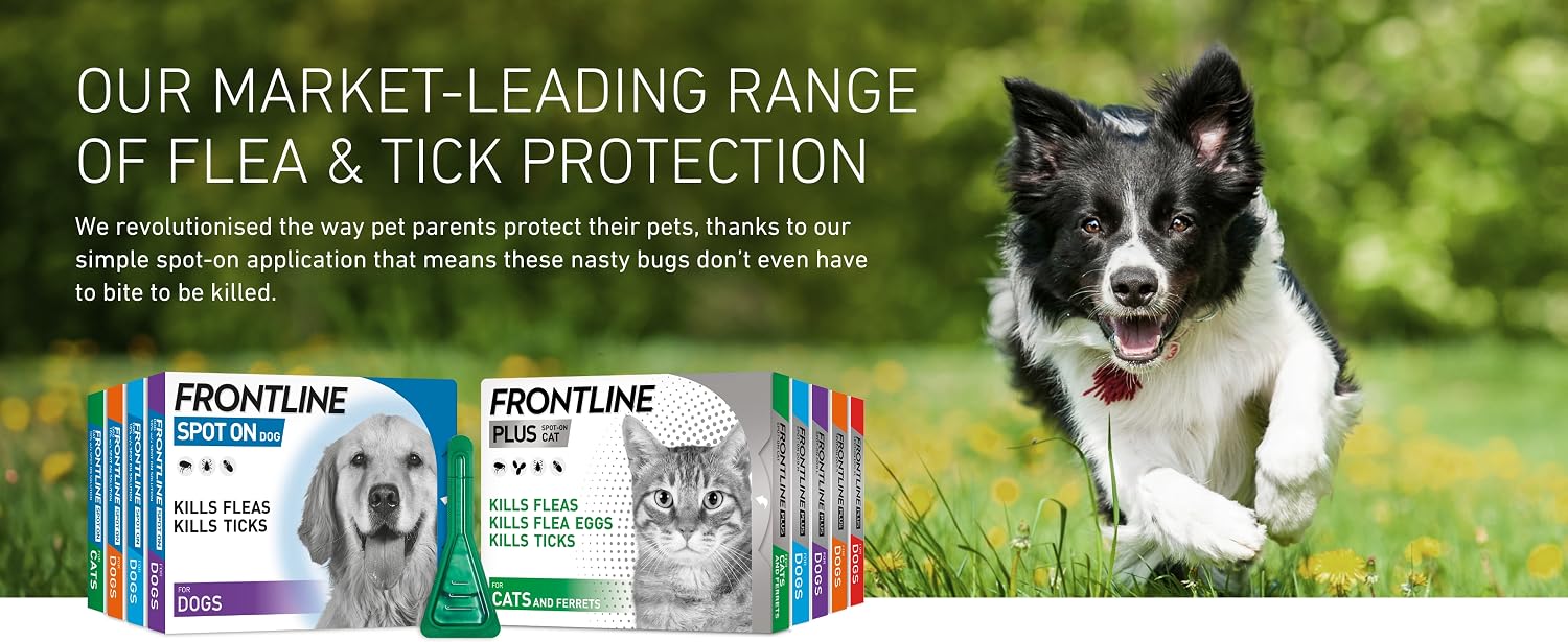 Frontline flea and tick protection for cats and dogs